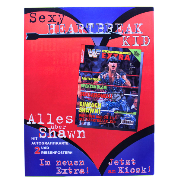 WWF Magazin Nr. 11 (1995) | Dino Verlag | Bret Hart, Undertaker & SummerSlam | Wrestling Sammlerstück